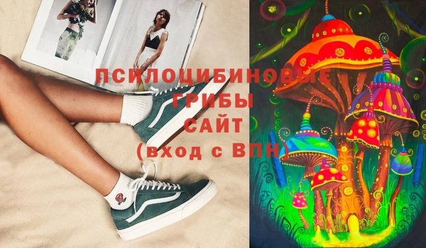 твердый Алексин