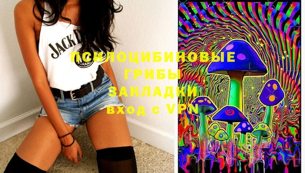 стаф Алексеевка