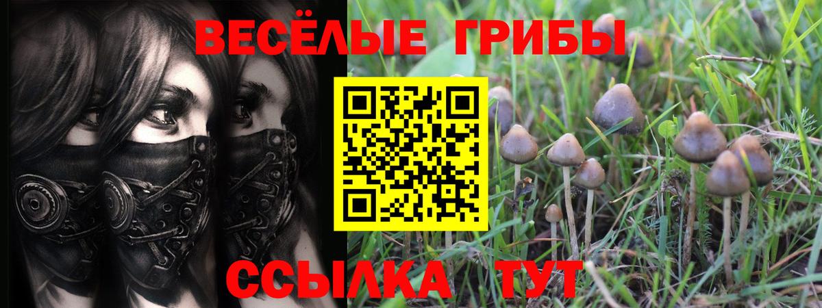 Галлюциногенные грибы Magic Shrooms Арсеньев