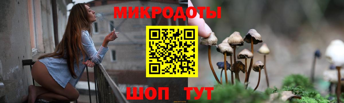 Арсеньев  Галлюциногенные грибы MAGIC MUSHROOMS  Вход с VPN 